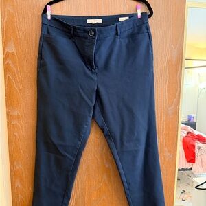 LOFT Women’s Size 12 “The Skinny” Midnight Blue Curvy Pants